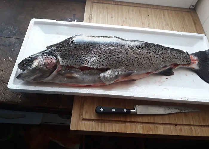 D'hotes Belle Occitane